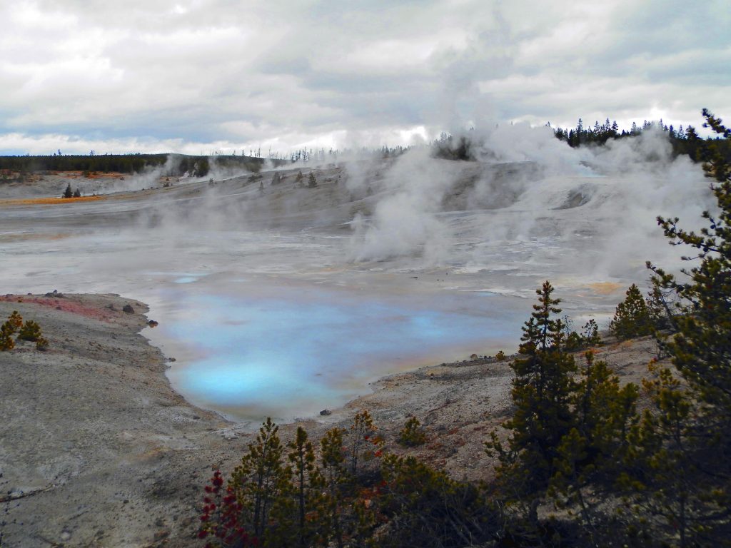 EEUU Oeste Yellowstone