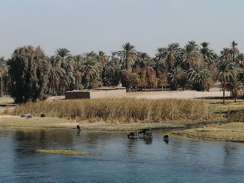 Río Nilo, Egipto