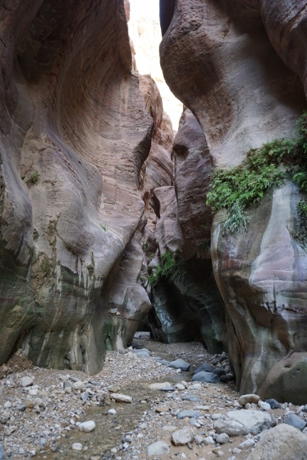 Trekking en Wadi Ghuweir, Reserva de Dana