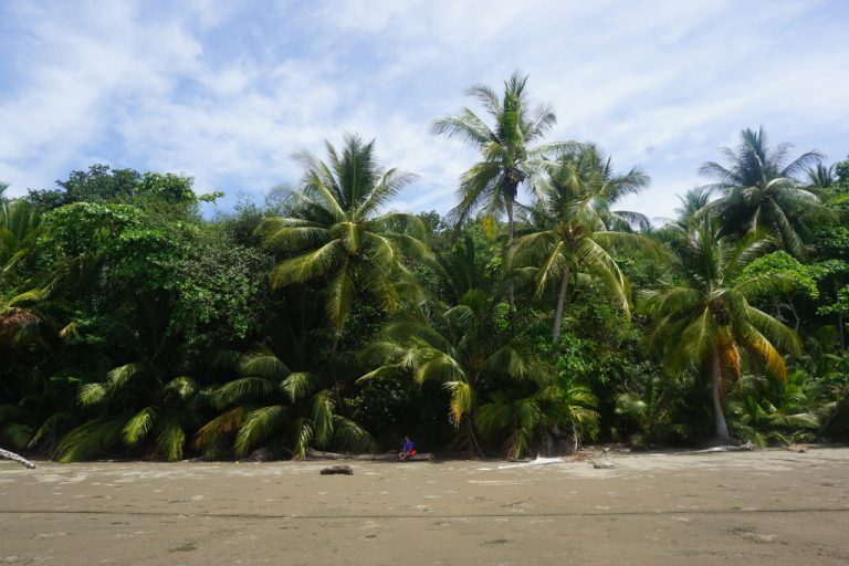 Parque Nacional Marino Ballena Costa Rica parque-nacional-marino-ballena-costa-rica