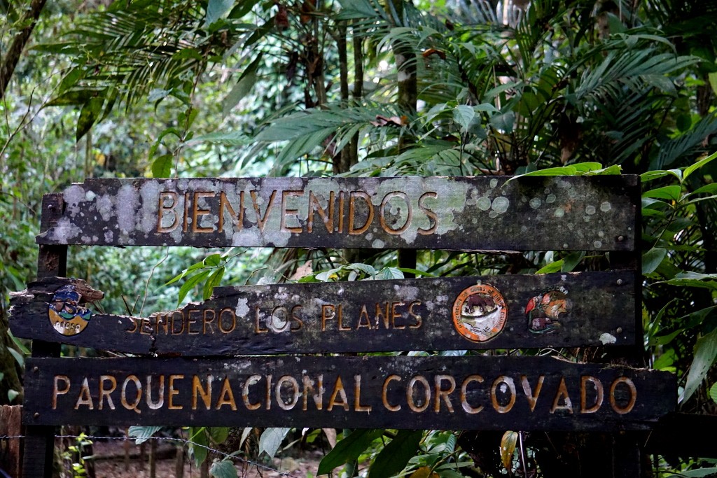 Sector Los Planes. Parque Nacional de Corcovado, Costa Rica.