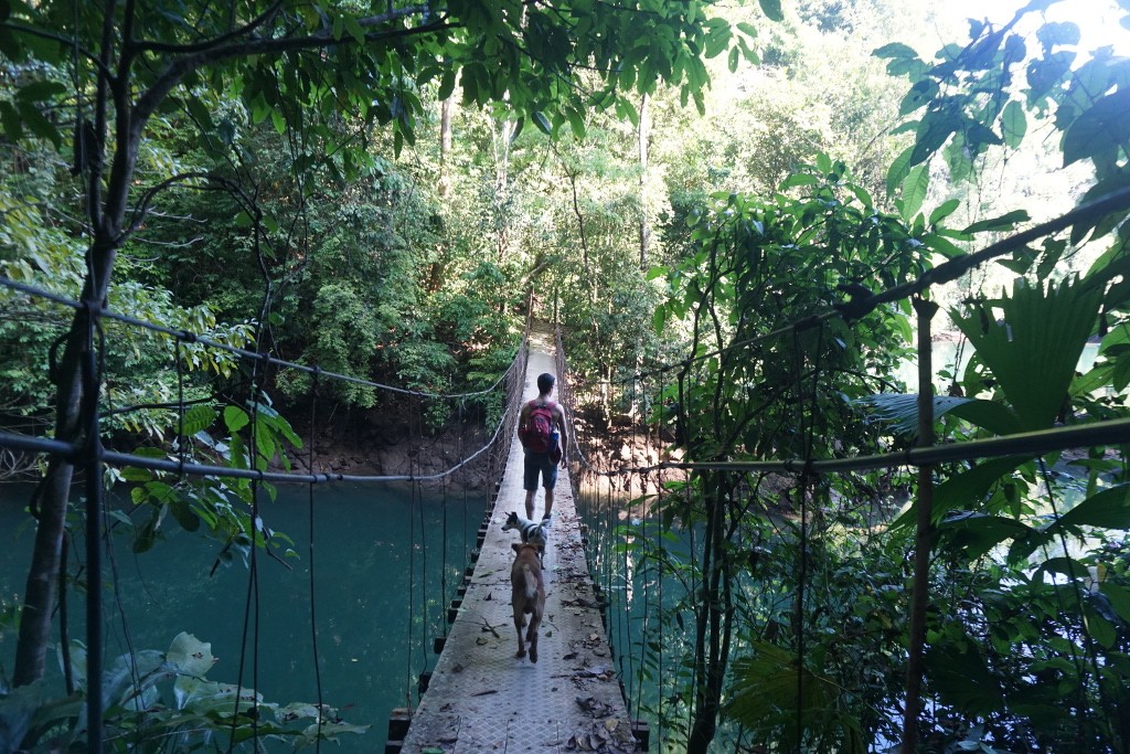Sendero playa San Josecito. Bahía Drake, Costa Rica.