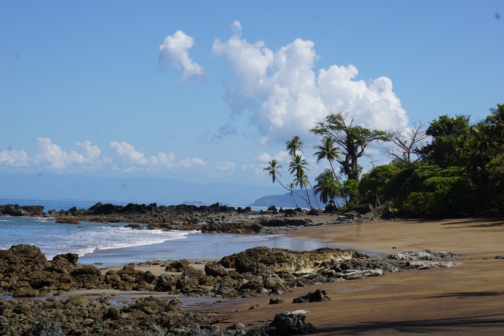Sendero playa San Josecito. Bahía Drake, Costa Rica.