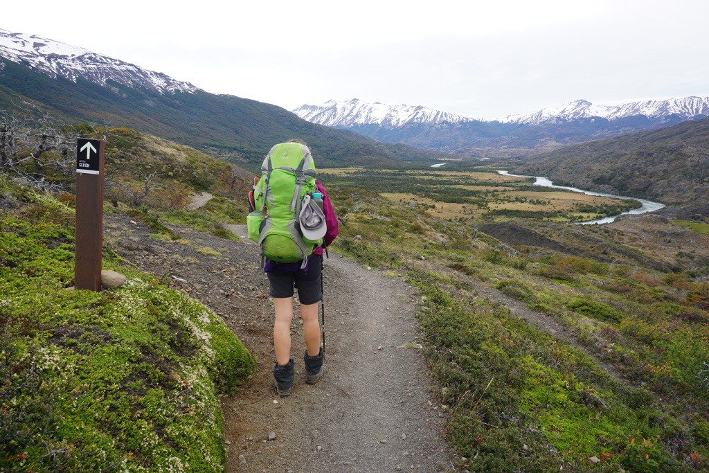 Serón P.N. Torres del Paine.