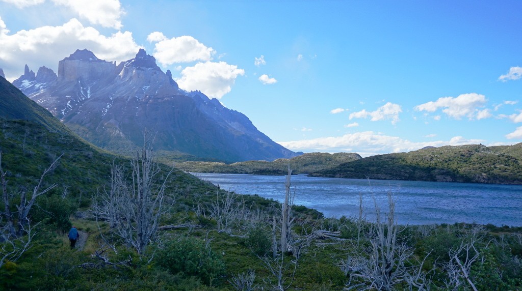 Lago Sköttsberg Torres del Paine.