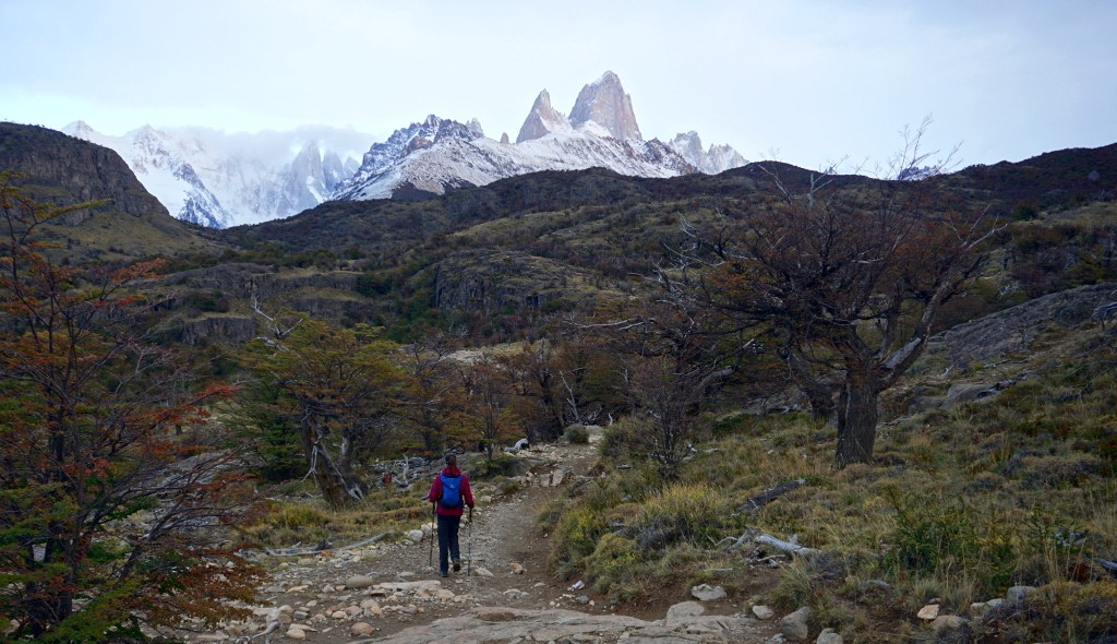 Sendero Valle del Río Fitz Roy