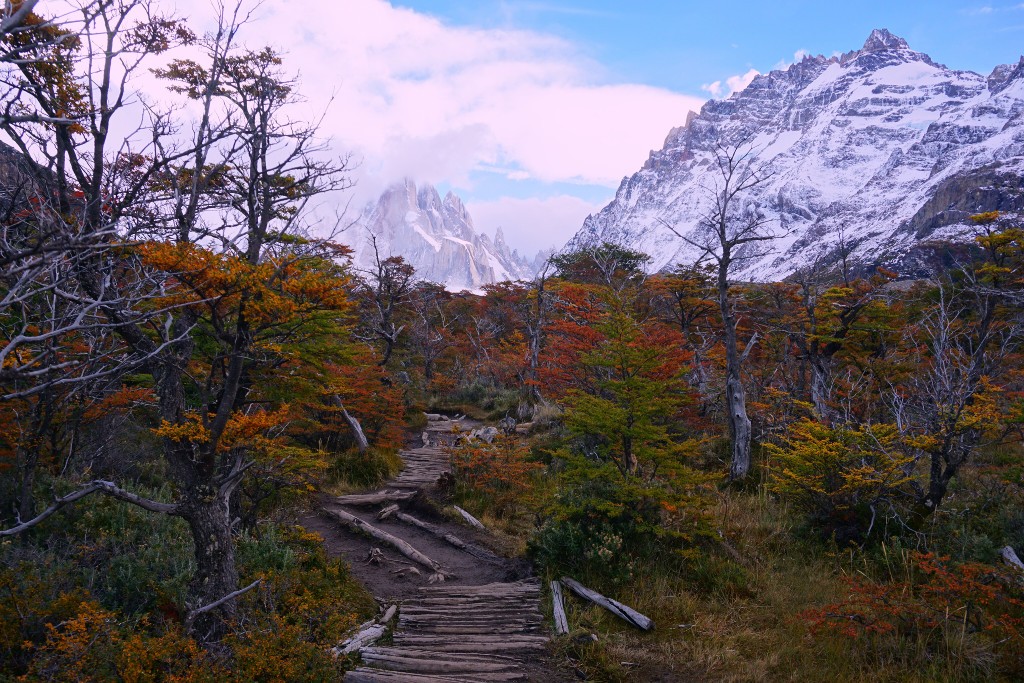 Valle del Fitz Roy, El Chaltén.