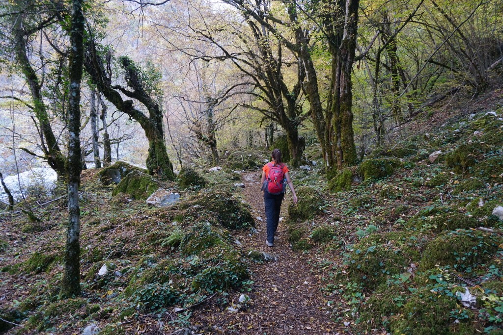 Parque Nacional Vikos-Aoos