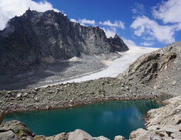 Glaciar Trient