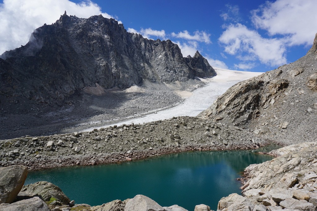 Glaciar Trient
