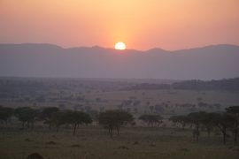 Los mejores consejos para hacer un safari por libre en&hellip;
