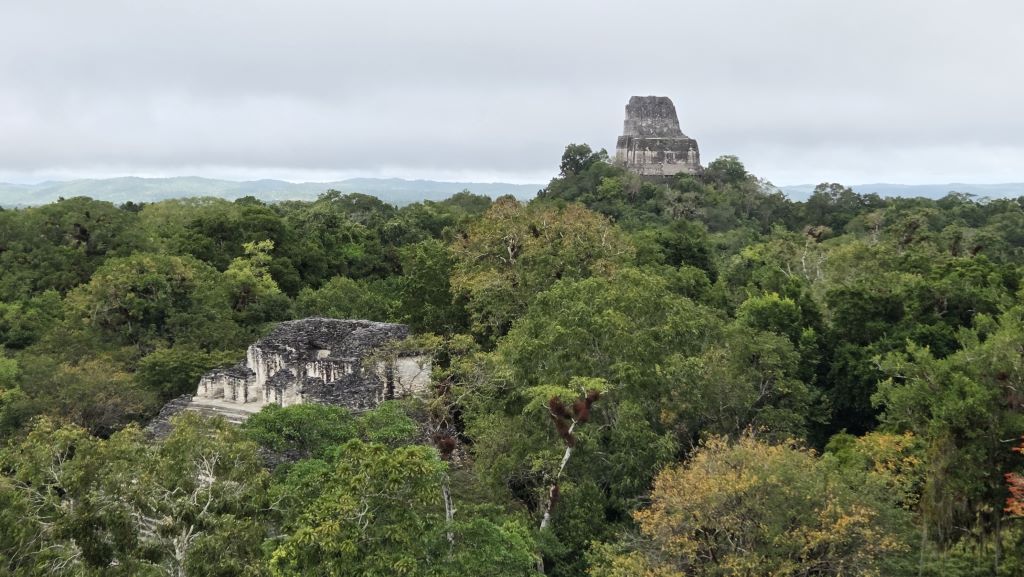 Ruta maya: Tikal