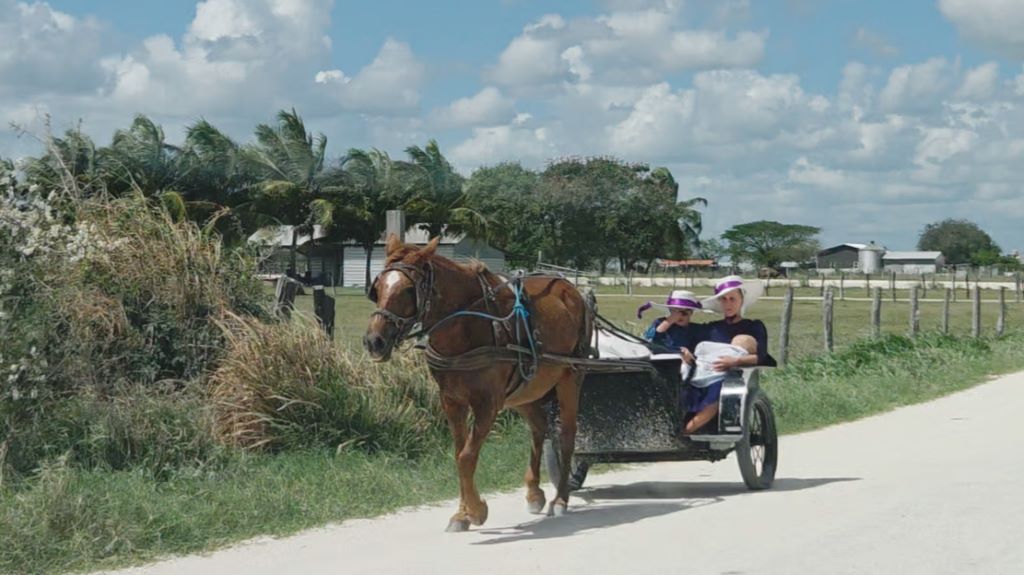 Ruta maya: Orange Walk