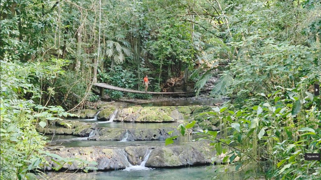 Ruta maya: Palenque