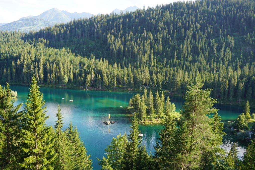 Suiza caumasee