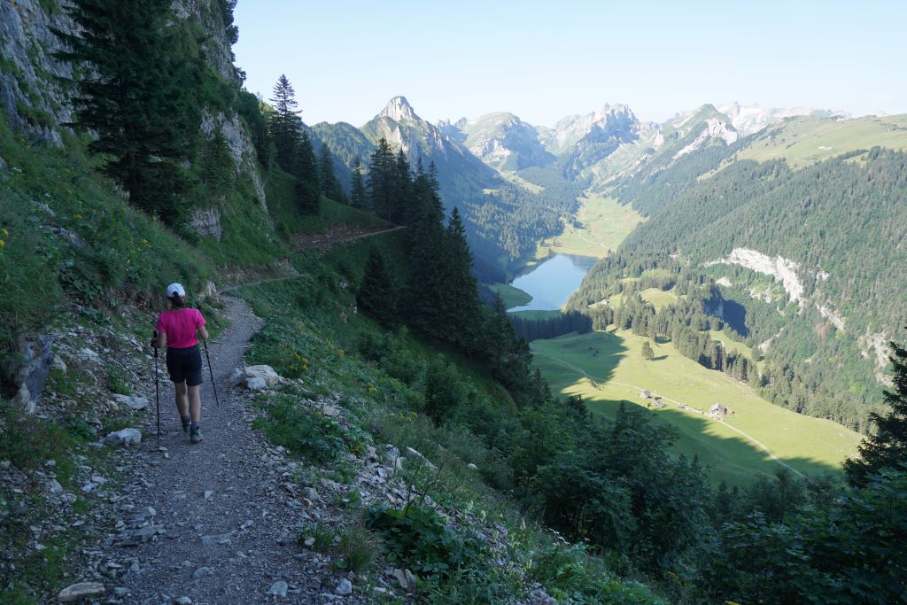 Suiza Saxer Lücke