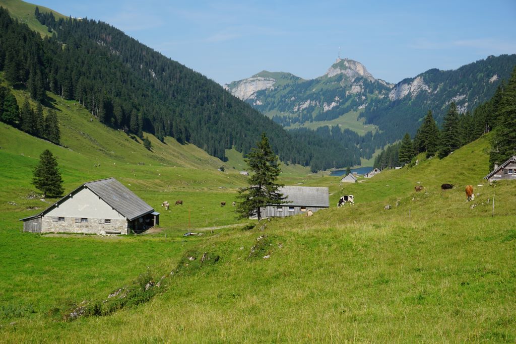 Suiza Saxer Lücke