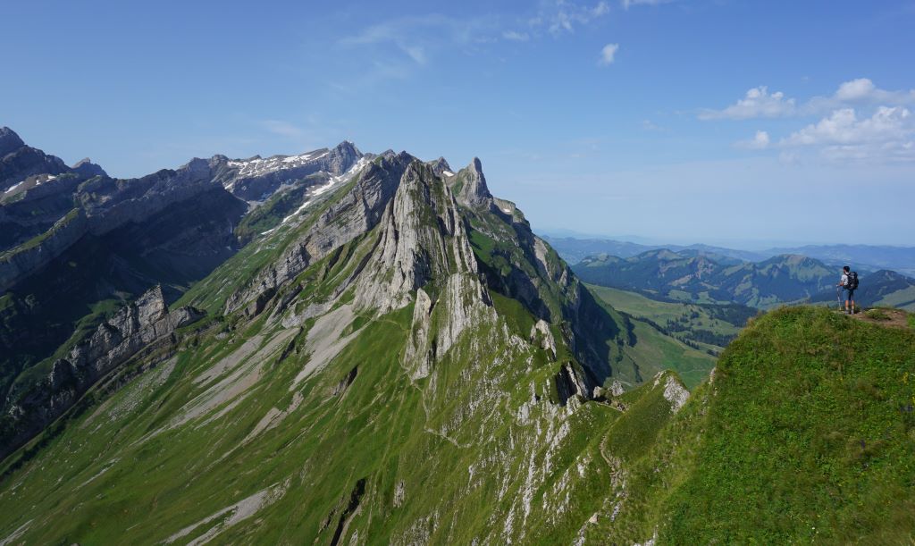Suiza Schäfler