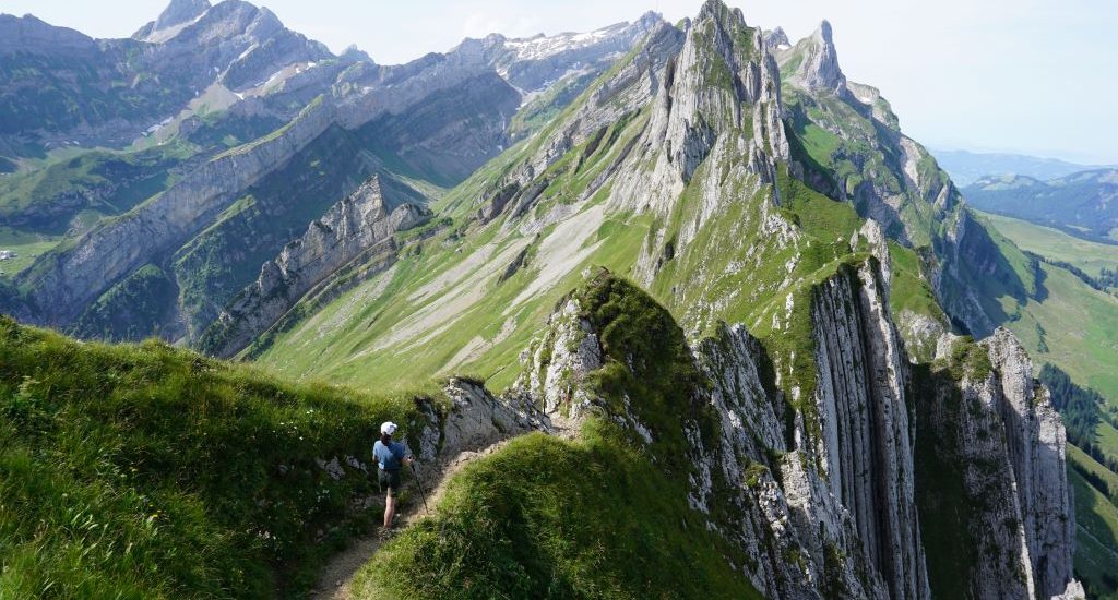 Suiza Schafler