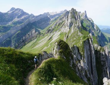 Suiza Schafler