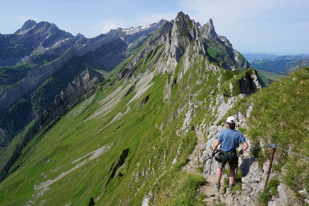 Suiza Schafler