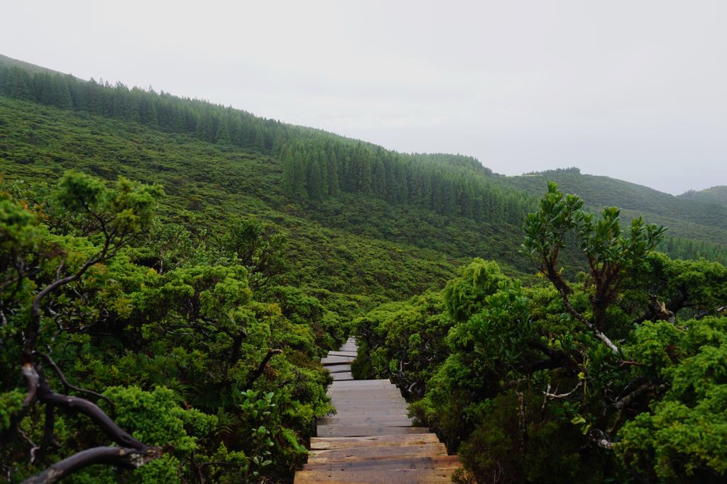 Terceira, Azores