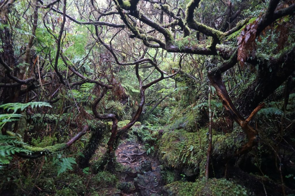 Terceira, Azores