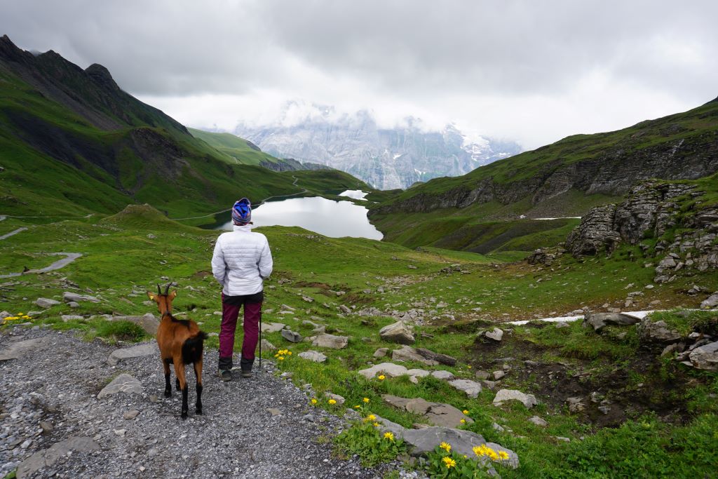 Suiza Faulhorn