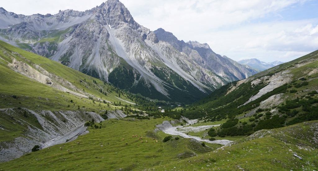 Parque Nacional Suiza