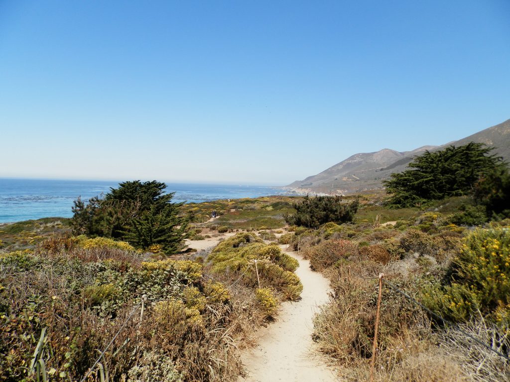 Garrapata State Park