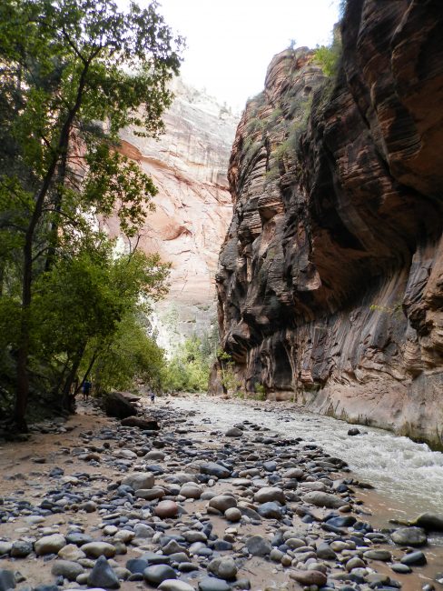 The Narrows, Zion National Park
