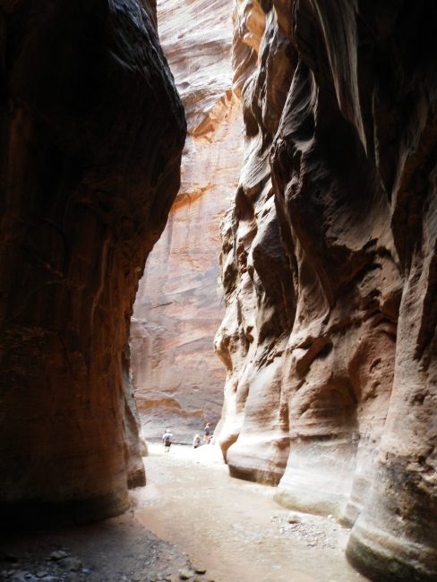 The Narrows, Zion National Park