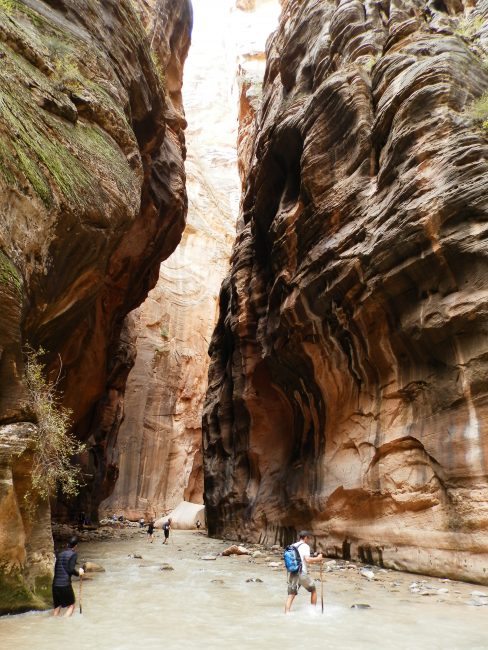 The Narrows, Zion National Park
