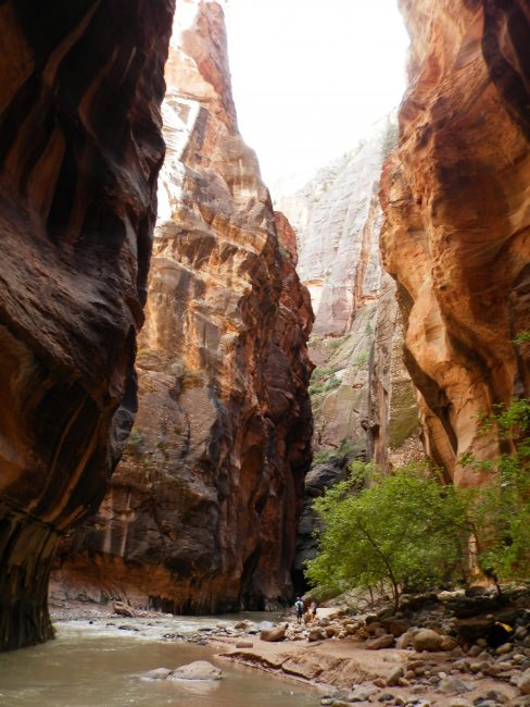The Narrows, Zion National Park