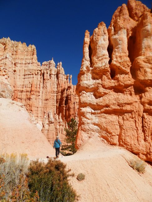Bryce Canyon National Park