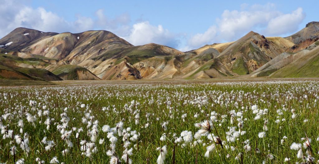 Trekking Laugavegur, Islandia