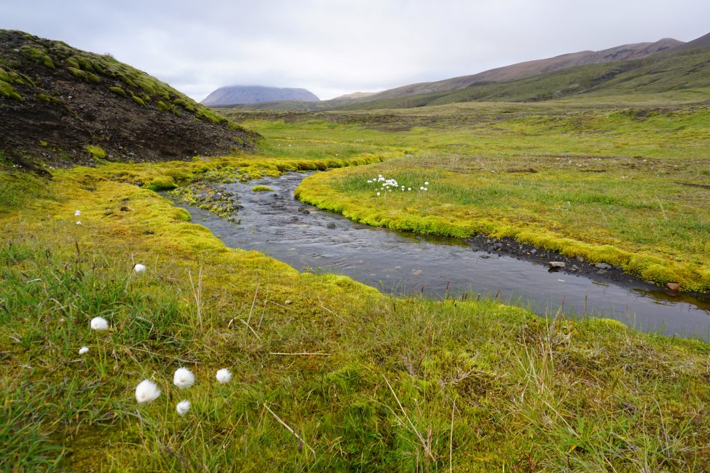 Trekking Laugavegur, Islandia