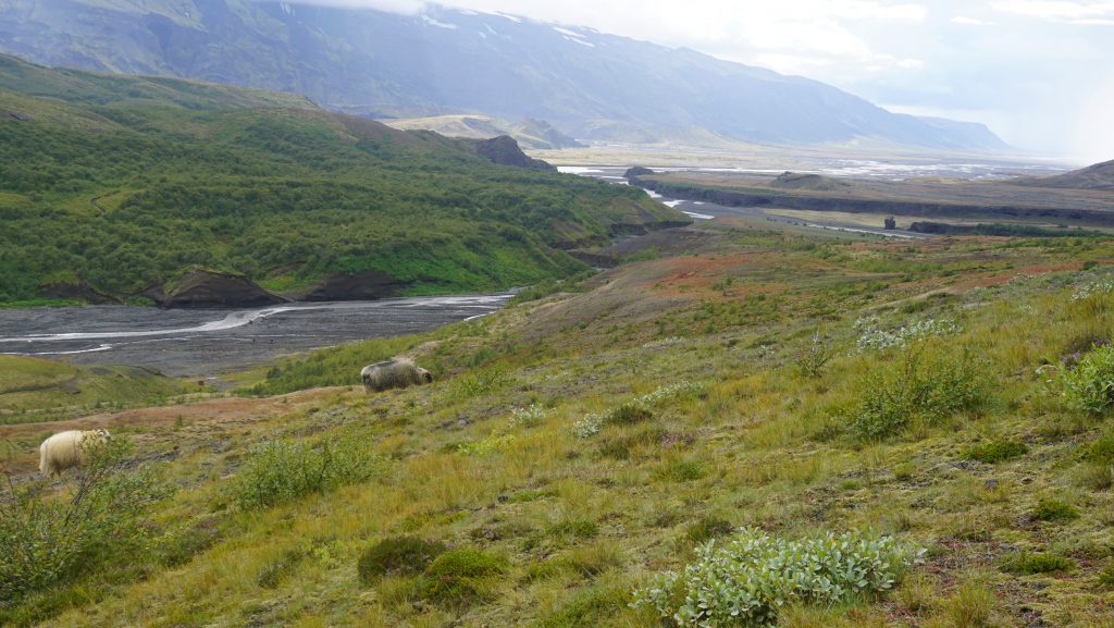 Trekking Laugavegur, Islandia