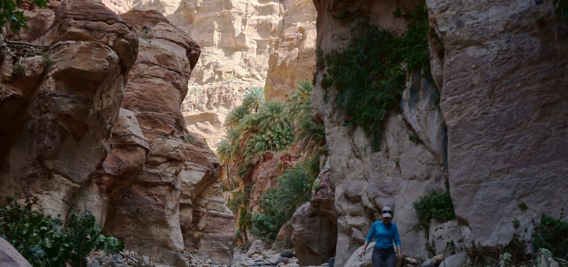 Trekking Wadi Ghuweir, Reserva de Dana