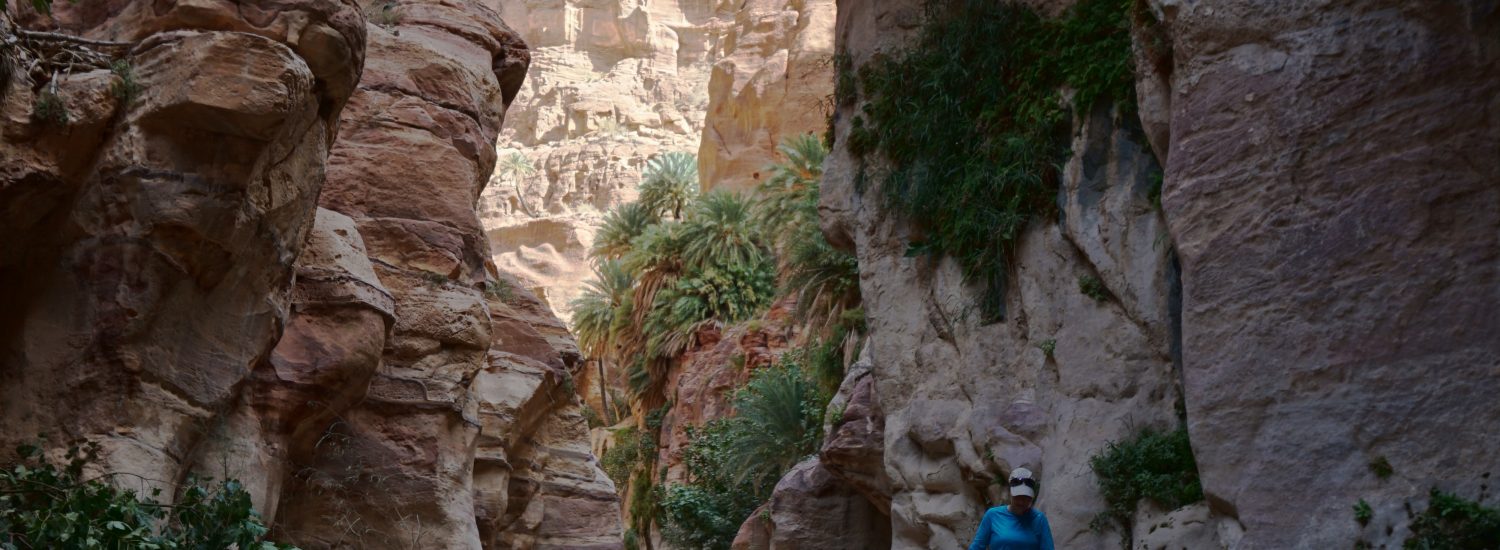 Trekking Wadi Ghuweir, Reserva de Dana