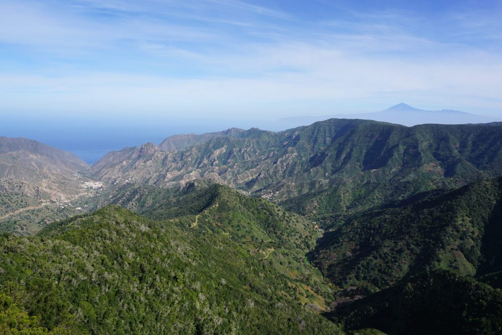 Parque Nacional de Garajonay, La Gomera