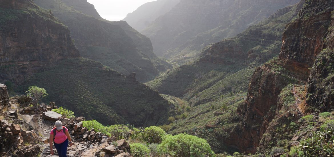 Barrancos de Guarimiar y Benchijigua