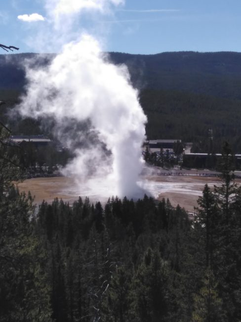 Old Faithful geiser, Yellowstone National Park