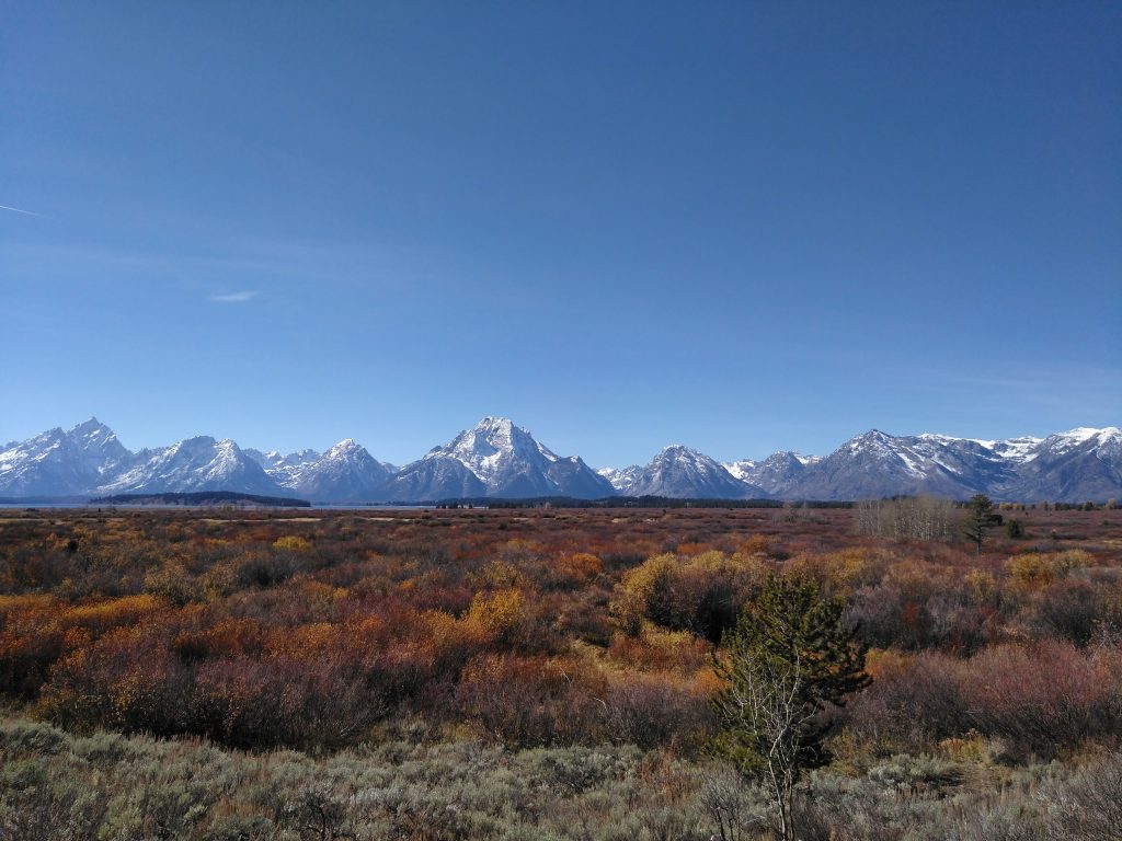 Grand Teton National Park