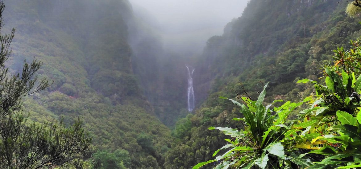 Levada do Risco, Madeira