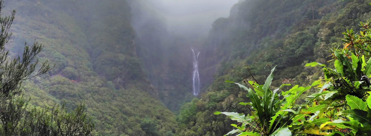 Levada do Risco, Madeira