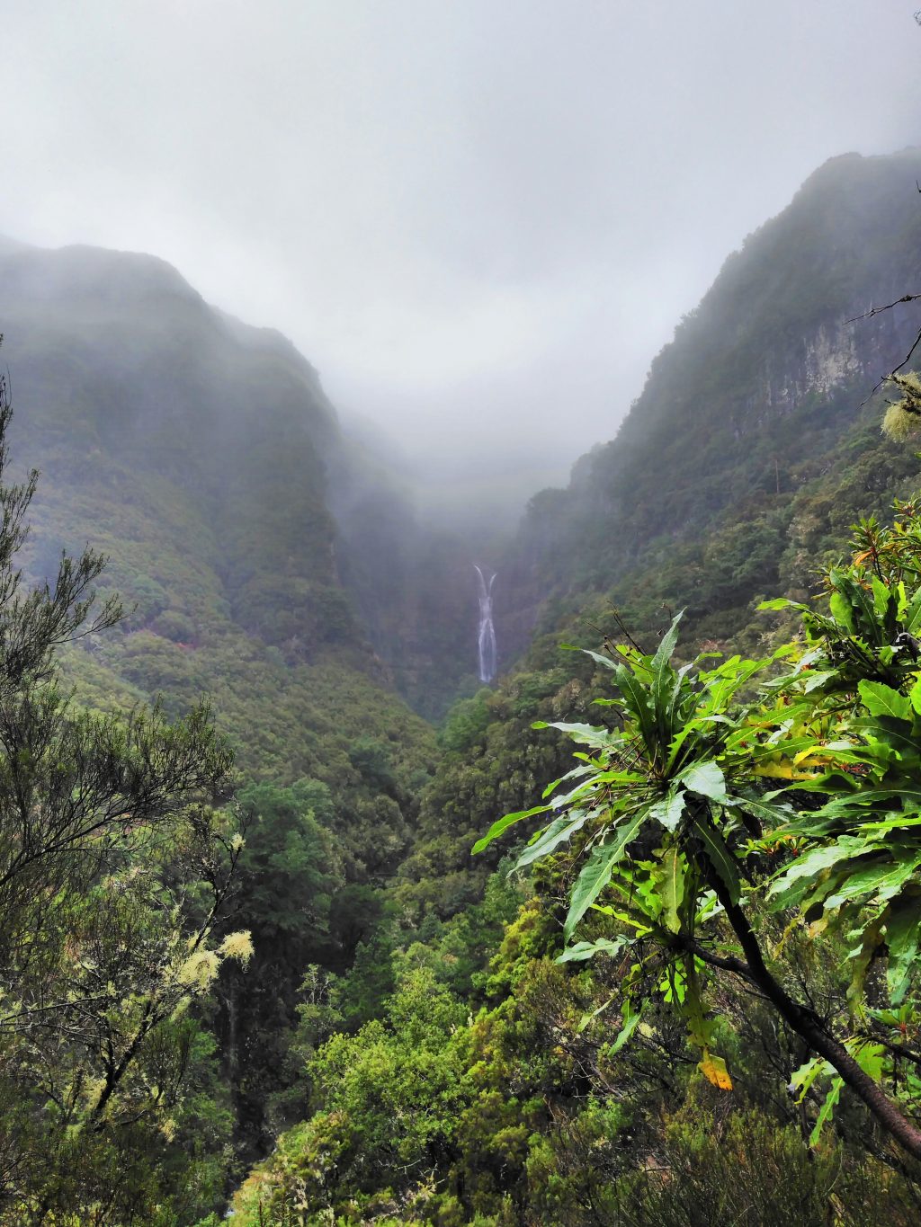Levada do Risco, Madeira