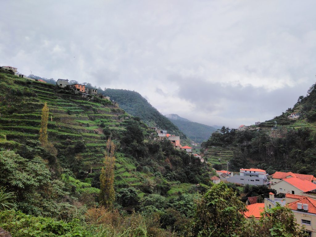Bancales de Madeira en la Levada dos Marocos