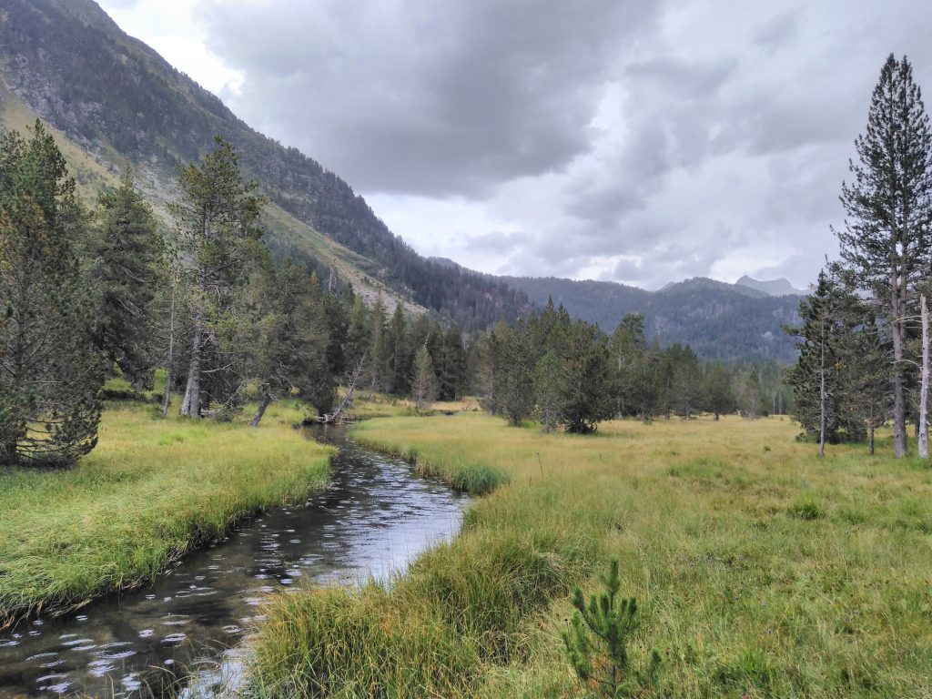 Pirineos, pradera en el inicio de la ruta al Circo de Colomers
