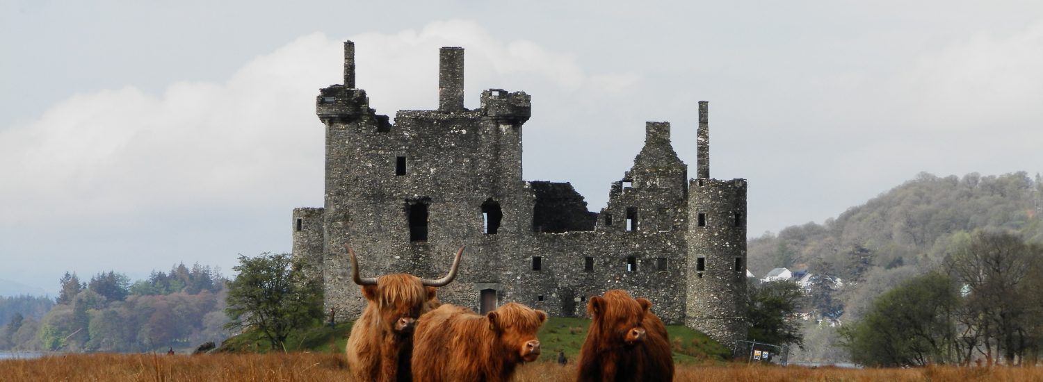 Vaquitas en Kilchurn Castle